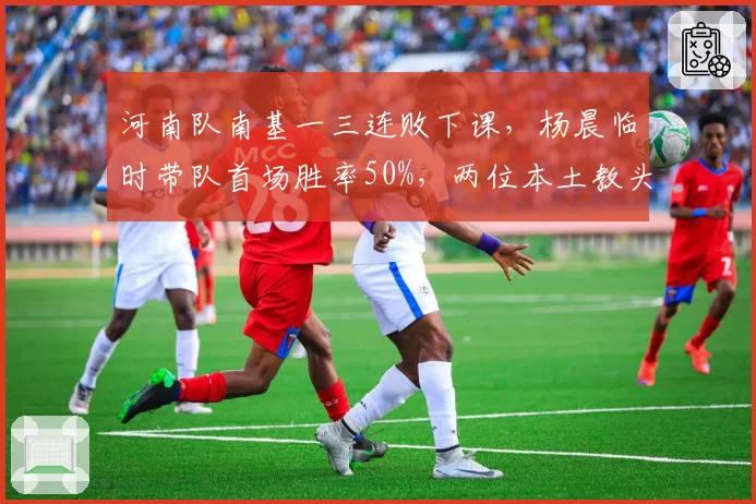 河南队南基一三连败下课，杨晨临时带队首场胜率50%，两位本土教头执教差异解析