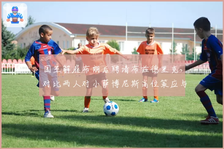 国王解雇布朗后聘请布兹德里克，对比两人对小萨博尼斯高位策应与福克斯突破分球配合