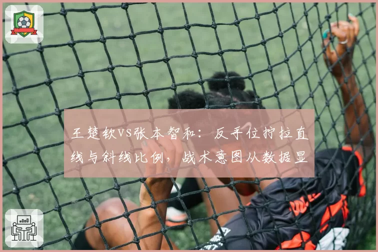 王楚钦vs张本智和：反手位拧拉直线与斜线比例，战术意图从数据显端倪