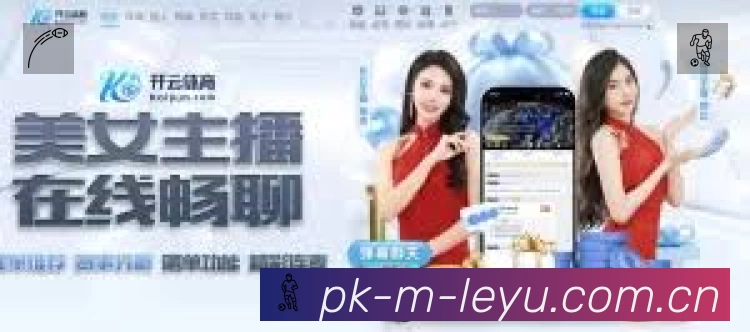 全球访问热力分布图